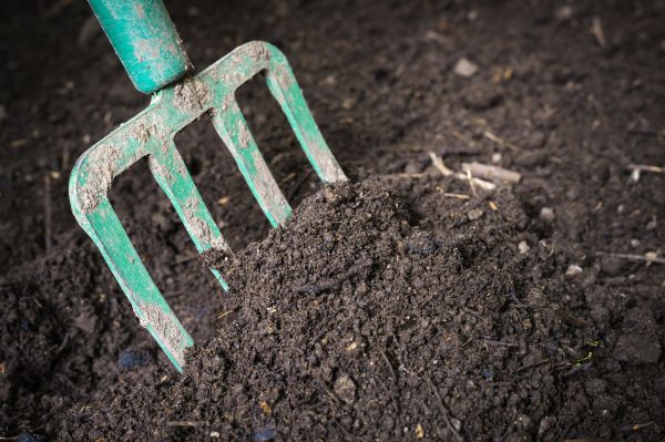Topsoil Spreading in Mentor