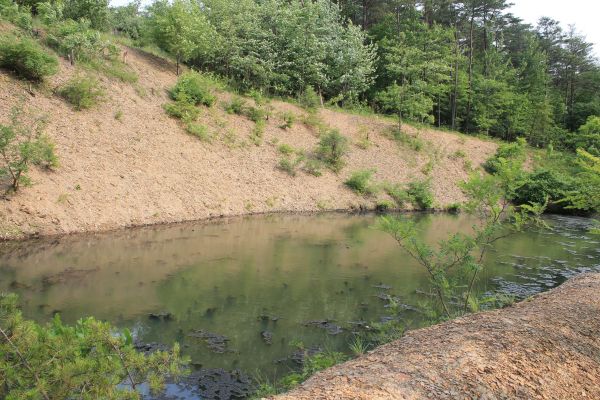 Pond Erosion Repair in Mentor