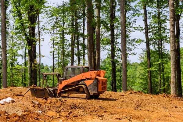 Lot Leveling in Mentor