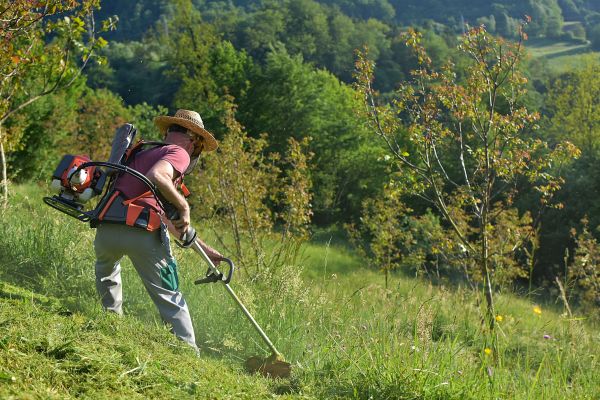 Cost of Slope Trimming in Mentor