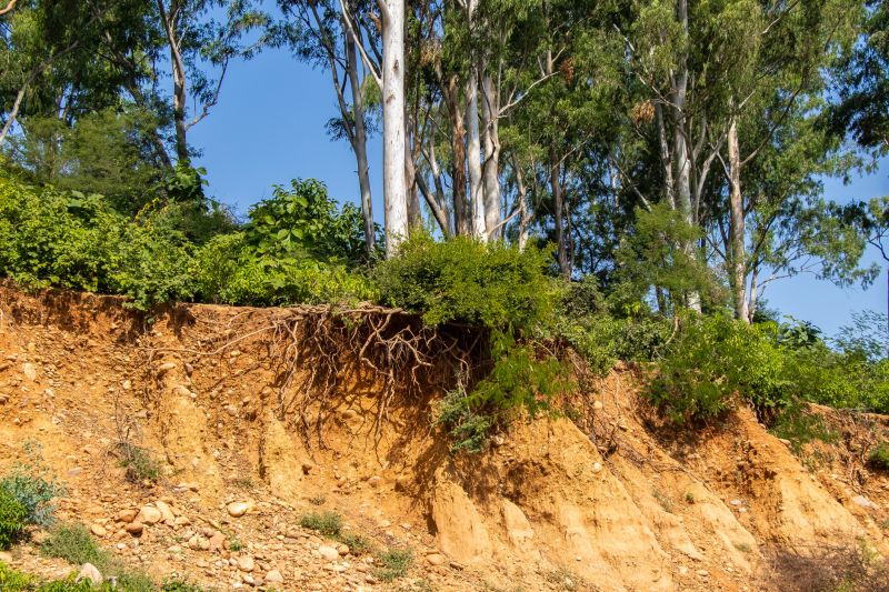 Slope Erosion Repair